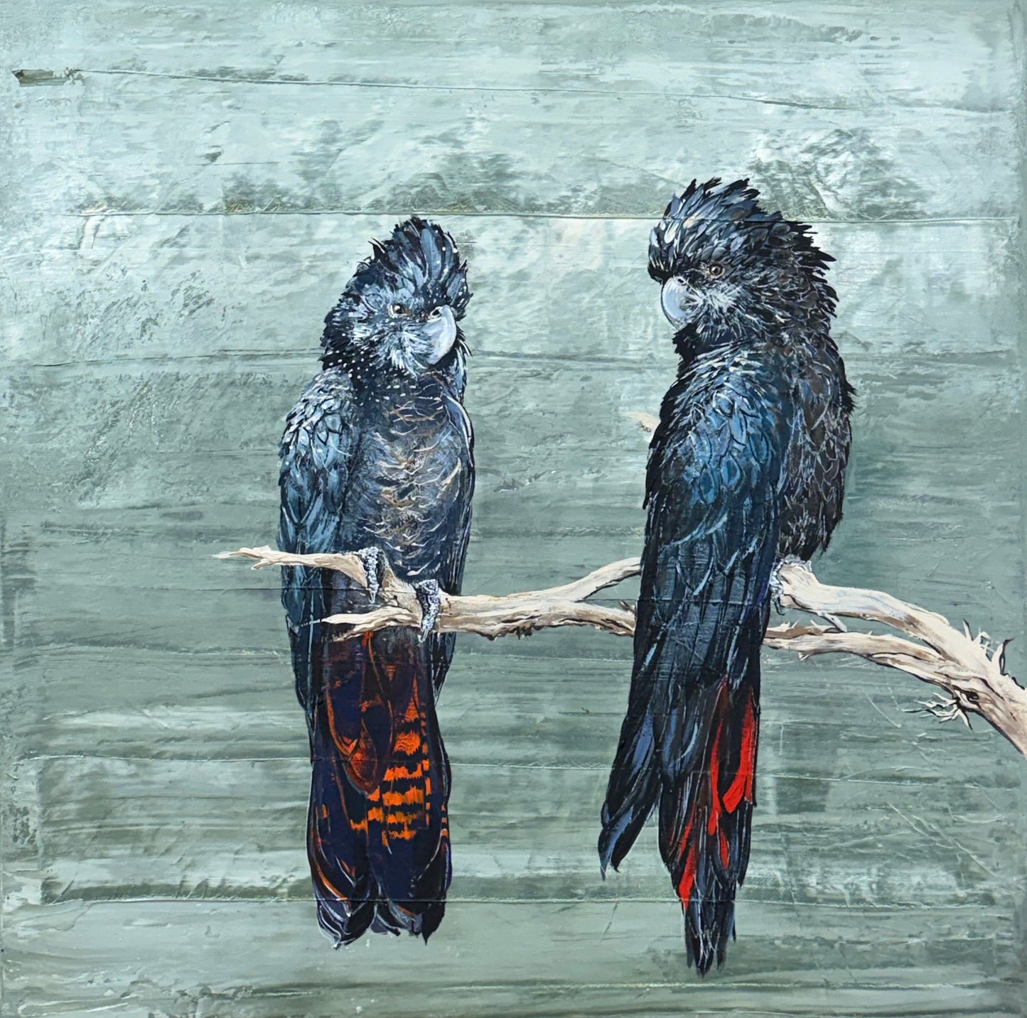 “Native Beauties” a pair of Australian native Red-Tailed Black Cockatoos. Acrylic on canvas.