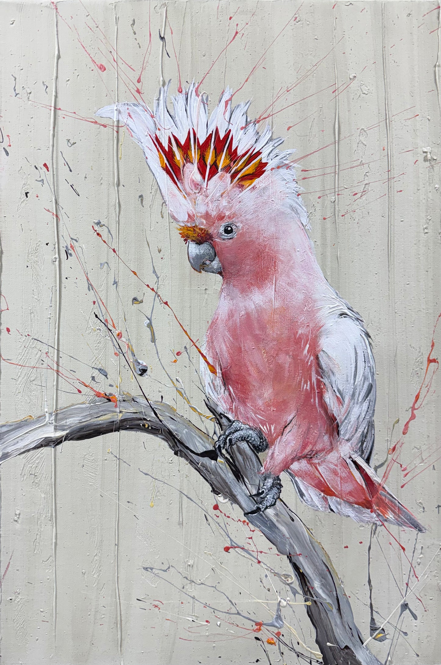 SOLD "The Mesmerising Major Mitchell Pink Cockatoo", native to Australia. acrylic on canvas