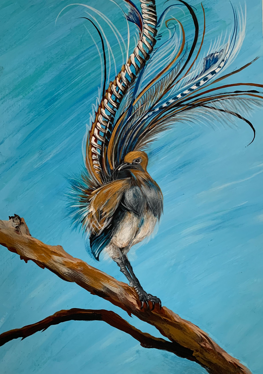 SOLD Lyrebird on Branch, acrylic on art paper. Size: 42cm x 30cm (A3)
