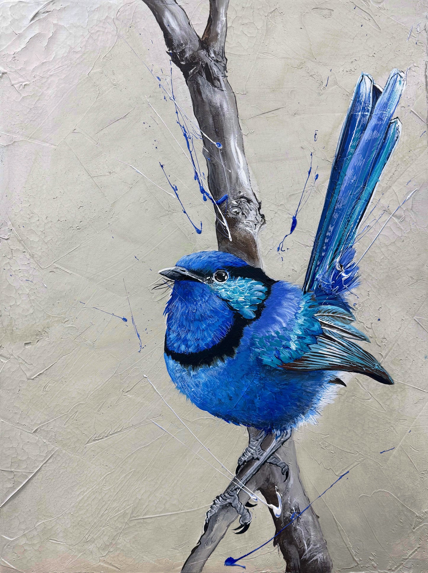 For Sale : "Splendid in Every Way", the native male Splendid Fairy Wren. acrylic on canvas