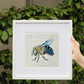 ORIGINAL FOR SALE "Blue-Banded Beauty" the Australian native Blue-Banded Bee. Acrylic on canvas *FINE ART PRINTS AVAILABLE