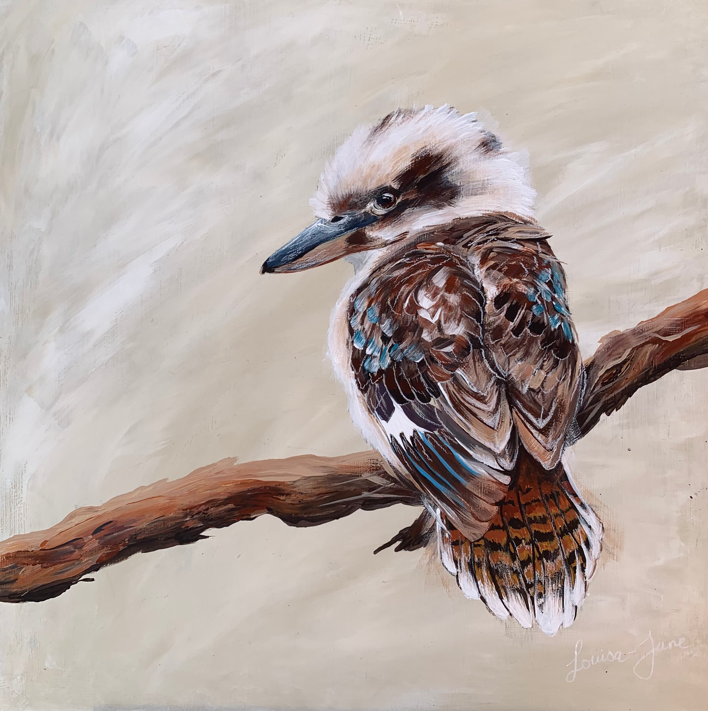 SOLD Baby Kookaburra on Branch, acrylic on board. Size: square 41cm x 41cm