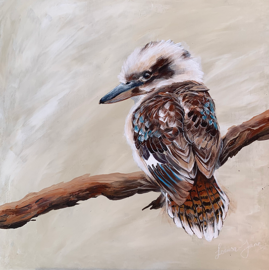 SOLD Baby Kookaburra on Branch, acrylic on board. Size: square 41cm x 41cm