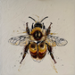 SOLD "Bee my Honey Bee" acrylic on canvas.
