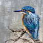 SOLD "Kingfisher in Beautiful Blue", acrylic on canvas. *Fine art prints available