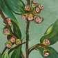 SOLD Australian eucalyptus leaves with gum nuts, acrylic on art paper - Size: 42cm x 30cm