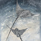 SOLD  - Framed "Gliding Beauty", The Spotted Eagle Ray