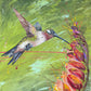 FOR SALE: Framed - Hummingbird in Flight, 76cm x 51cm (20" x 30")