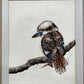 SOLD "King of the Bush" the native Australian Kookaburra. Acrylic on art board.