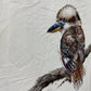 SOLD "King of the Bush" the native Australian Kookaburra. Acrylic on art board.