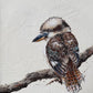 SOLD "King of the Bush" the native Australian Kookaburra. Acrylic on art board.