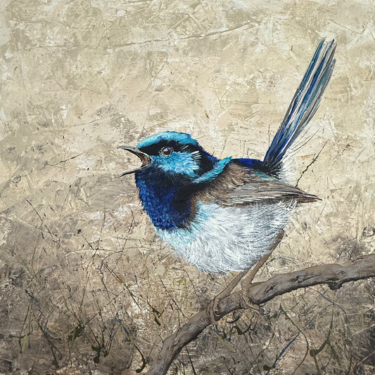 SOLD "Morning Song", the male Australian native Superb Fairy Wren, calling for his mate. Acrylic on canvas
