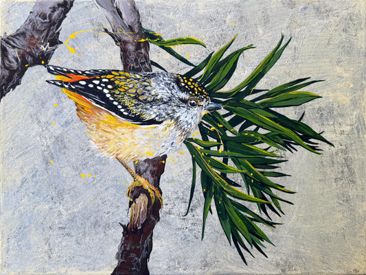 FOR SALE: "The Sweet Little Spotted Pardalote" - the 'Diamondbird' of Australia. Acrylic on canvas.*Fine Art Prints also available