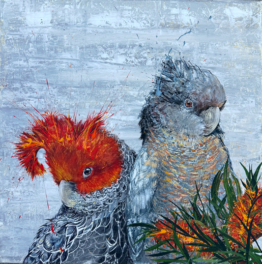 FOR SALE "Cockatoo Capers 2" The native Australian Gang Gang Black Cockatoos. Acrylic on canvas. *Fine art prints also available