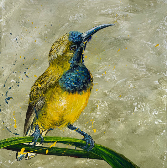 FOR SALE "The Spectacular Little Olive-Backed Sunbird" Acrylic on canvas.