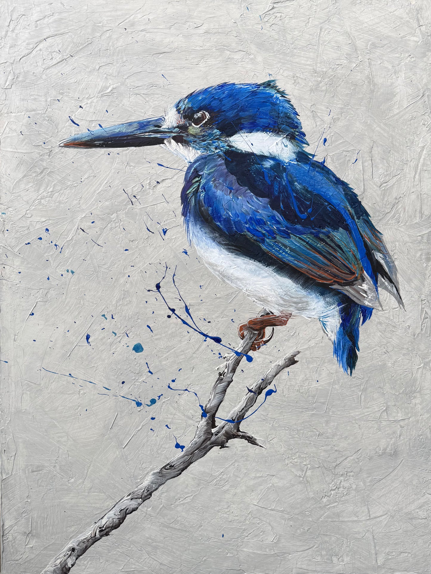 FOR SALE: "Tiny but Mighty" the Australian native Little Kingfisher. Acrylic on canvas