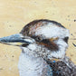 For Sale "Poised to Perfection", the Australian native Laughing Kookaburra. Acrylic on canvas