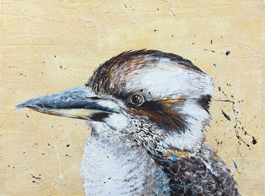 For Sale "Poised to Perfection", the Australian native Laughing Kookaburra. Acrylic on canvas