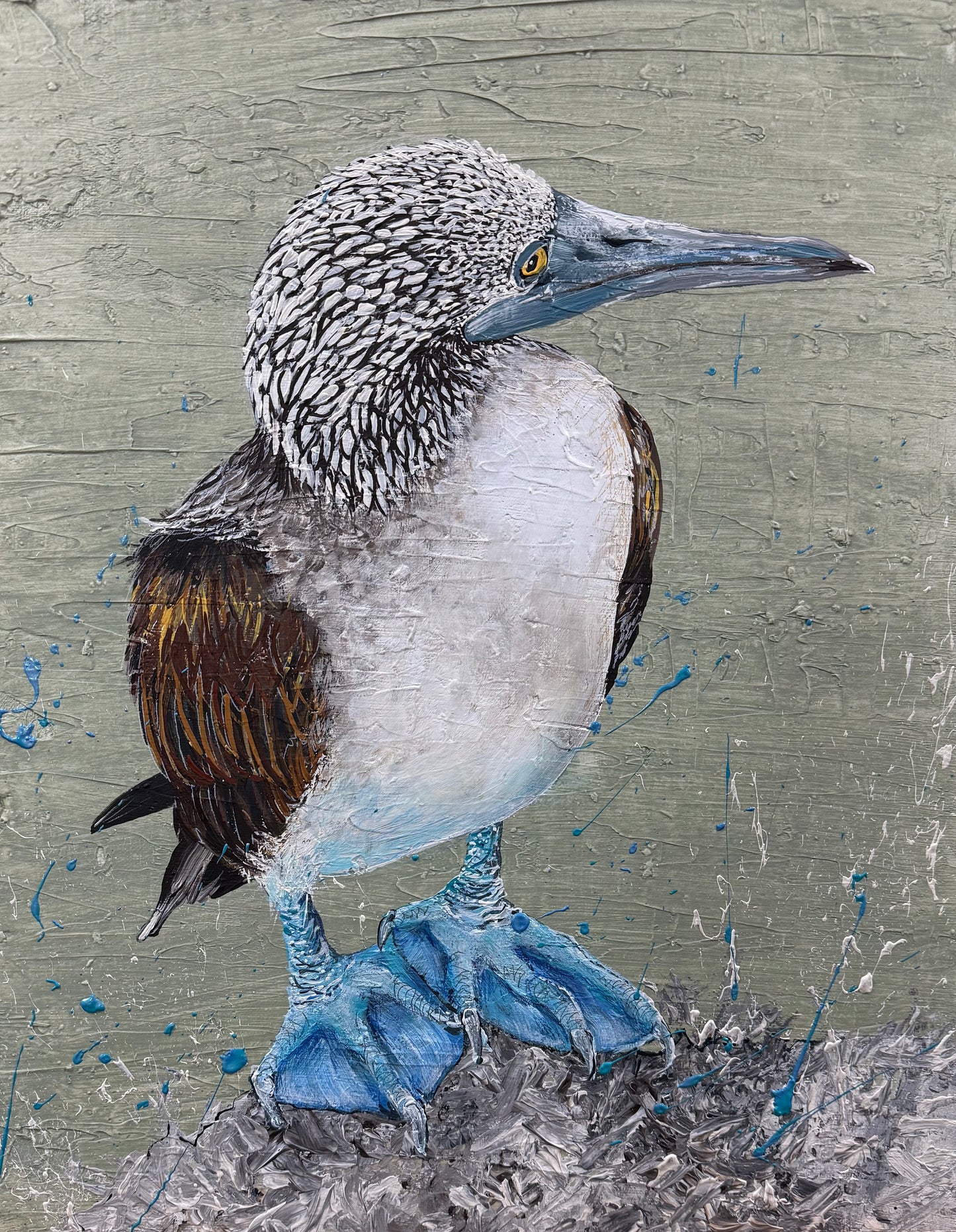 FOR SALE "The Blue-Footed Booby Bird", native to the eastern Pacific Ocean. Acrylic on canvas