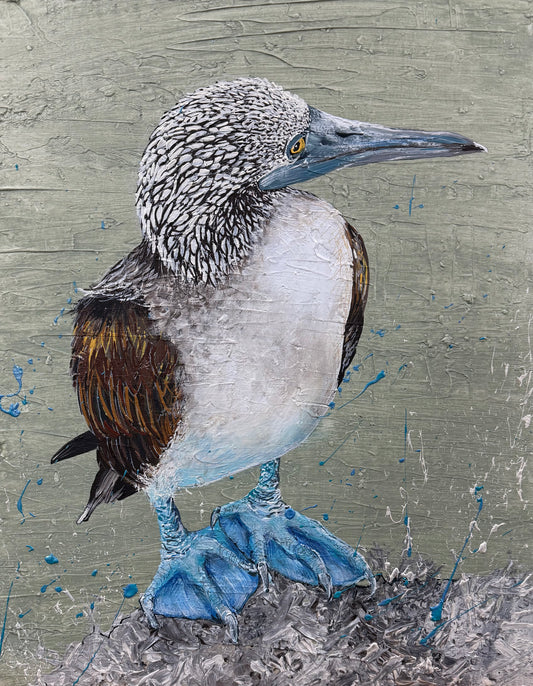 FOR SALE "The Blue-Footed Booby Bird", native to the eastern Pacific Ocean. Acrylic on canvas