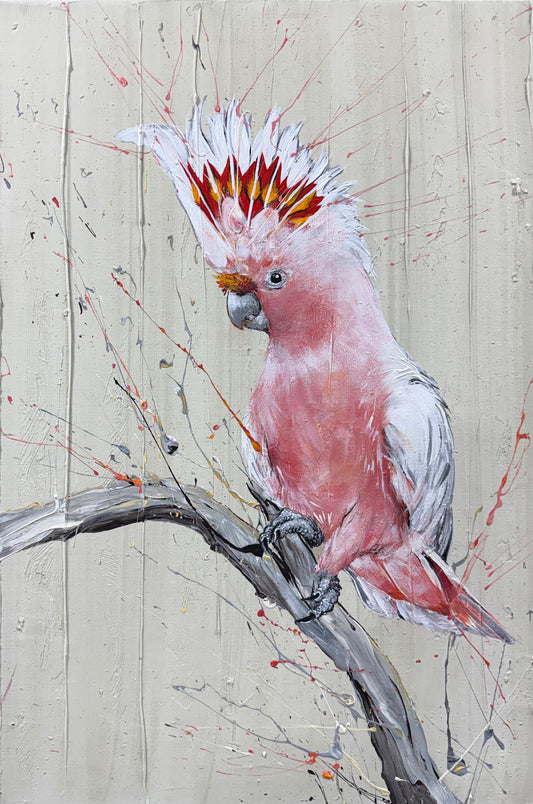 SOLD "The Mesmerising Major Mitchell Pink Cockatoo", native to Australia. acrylic on canvas