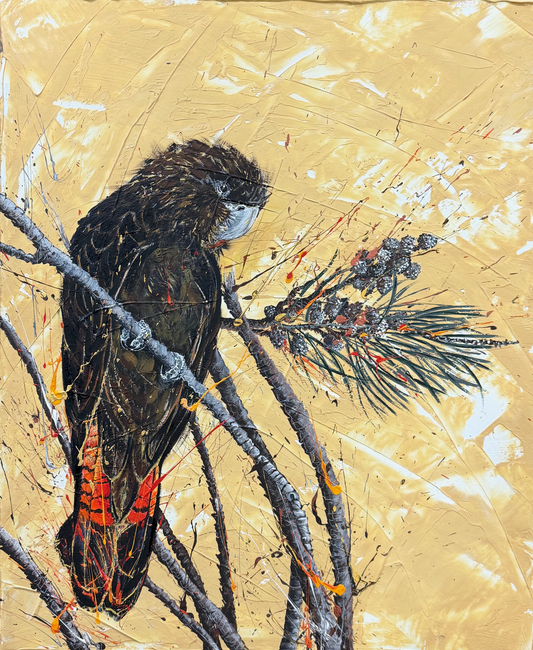SOLD "The Female Glossy Black Cockatoo - Feeding on the She-Oak Cones" acrylic on canvas