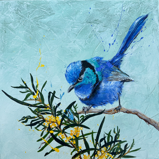 FOR SALE "Boy in Blue", the native Australian male Splendid Fairy Wren. Acrylic on canvas.