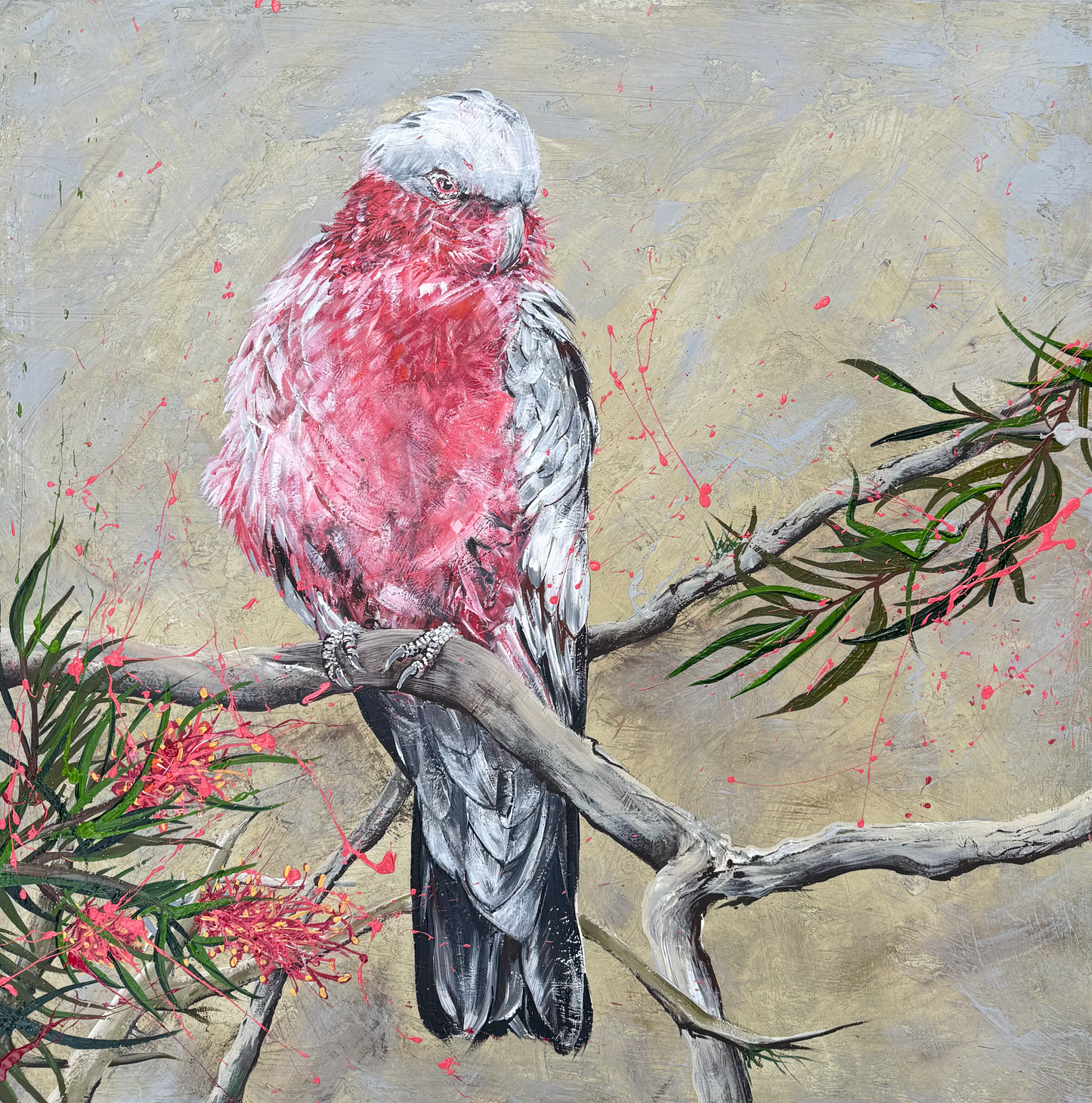 FOR SALE "The Gorgeous Pink Galah with Pink Grevillea", Both Native to Australia. Acrylic on canvas