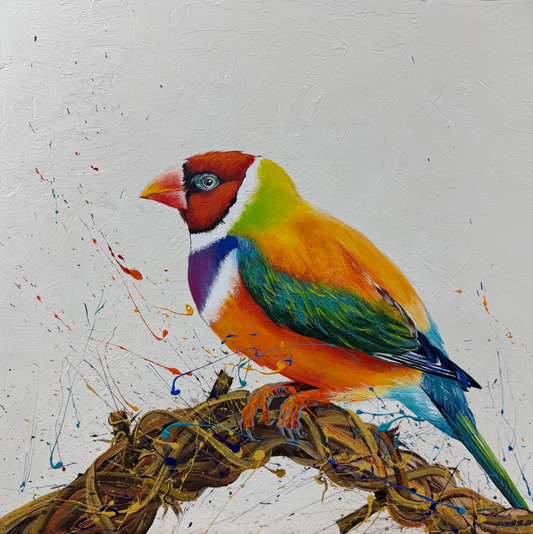 FOR SALE "The Stunning Red-Headed Gouldian Finch"- listed as an Endangered species, native to Australia. Acrylic on canvas