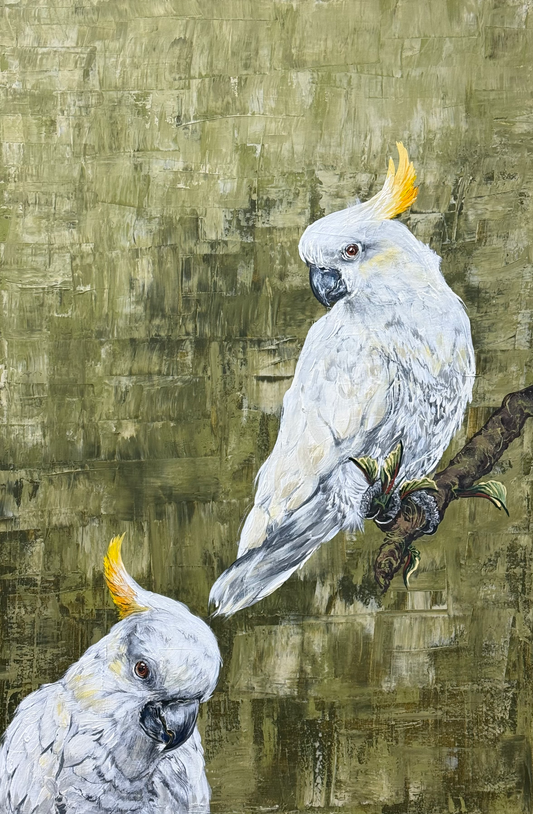 "Reverie" - a pair of the Australian native Sulphur-Crested Cockatoos. Acrylic on canvas