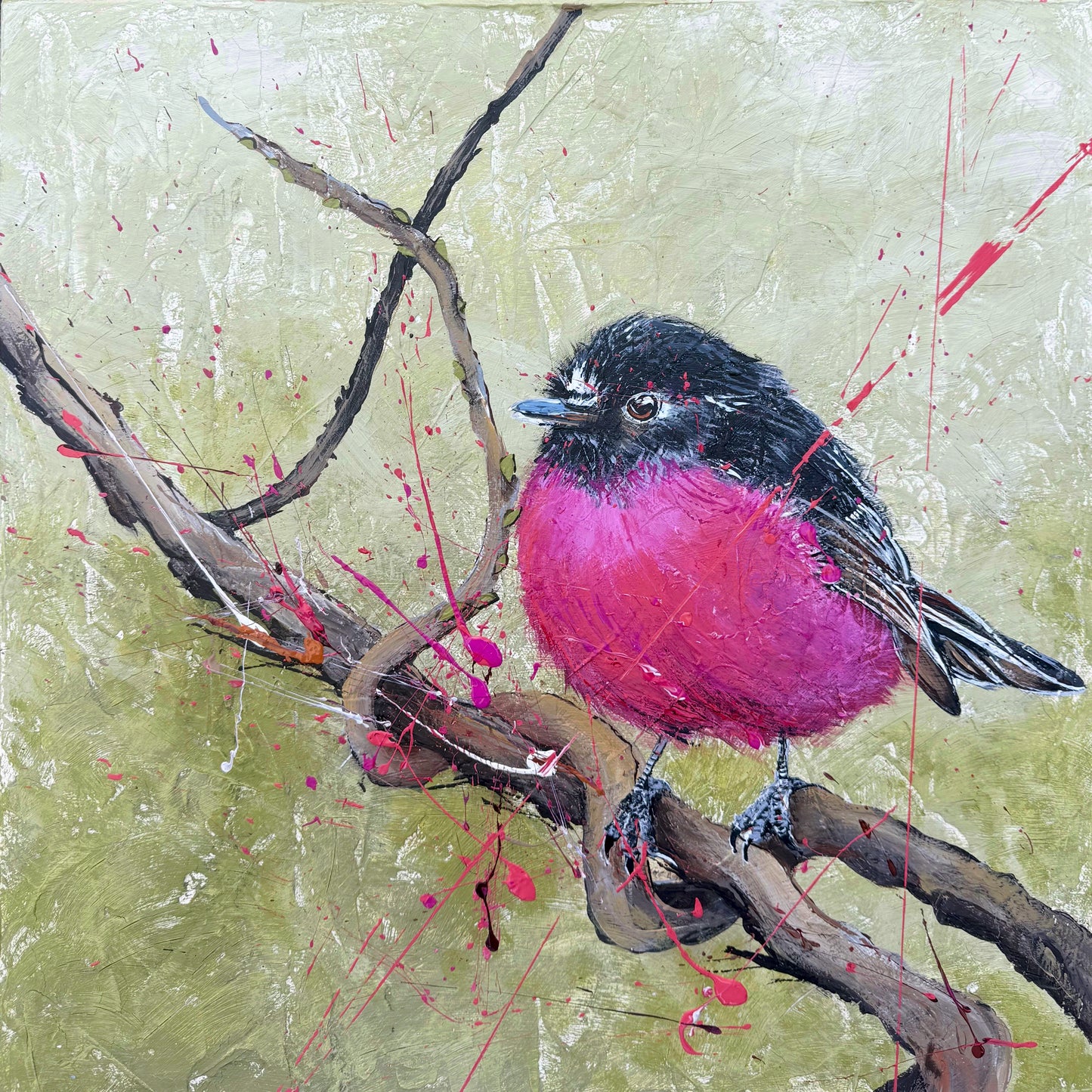 SOLD -Fine Art Prints available. "Pink Robin", one of Australia's most beautiful native birds. Acrylic on canvas. *Fine art prints are also available