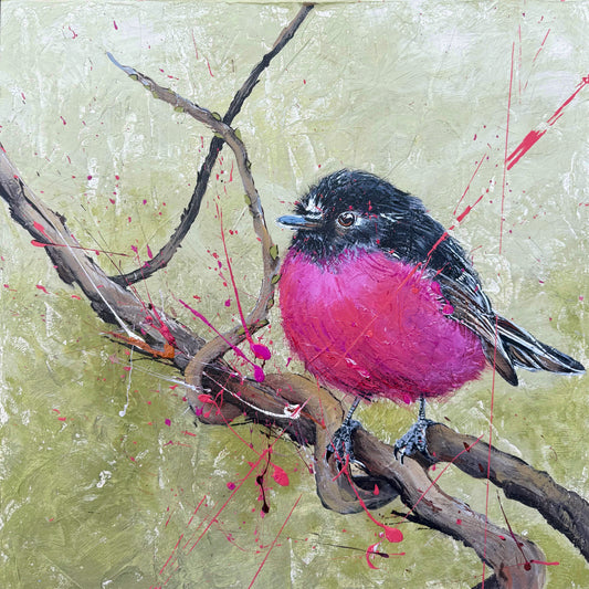 FOR SALE: "Pink Robin", one of Australia's most beautiful native birds. Acrylic on canvas. *Fine art prints are also available