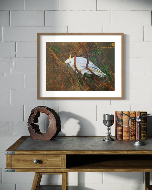 SOLD Sulphur-Crested Cockatoo in Bushland, acrylic on art paper, size (unframed): 30 x 42cm, A3
