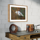 SOLD Sulphur-Crested Cockatoo in Bushland, acrylic on art paper, size (unframed): 30 x 42cm, A3