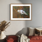 SOLD Sulphur-Crested Cockatoo in Bushland, acrylic on art paper, size (unframed): 30 x 42cm, A3