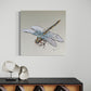 FOR SALE "Fly High Dragonfly" - A variation of the native Australian Emperor Dragonfly. Acrylic & texture paste on canvas.