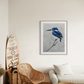 FOR SALE: "Tiny but Mighty" the Australian native Little Kingfisher. Acrylic on canvas