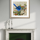 SOLD "The Splendid Chap", the male Splendid Fairy Wren in breeding season. *Fine Art Prints available