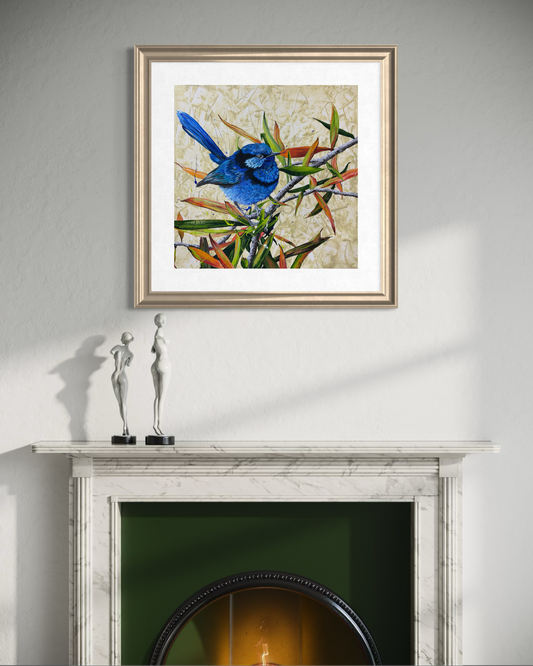 SOLD "The Splendid Chap", the male Splendid Fairy Wren in breeding season. *Fine Art Prints available