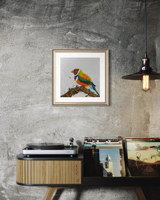 FOR SALE "The Stunning Red-Headed Gouldian Finch"- listed as an Endangered species, native to Australia. Acrylic on canvas