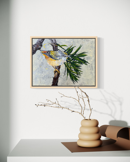 ORIGINAL FOR SALE: "The Sweet Little Spotted Pardalote" - the 'Diamondbird' of Australia. Acrylic on canvas.*Fine Art Prints also available