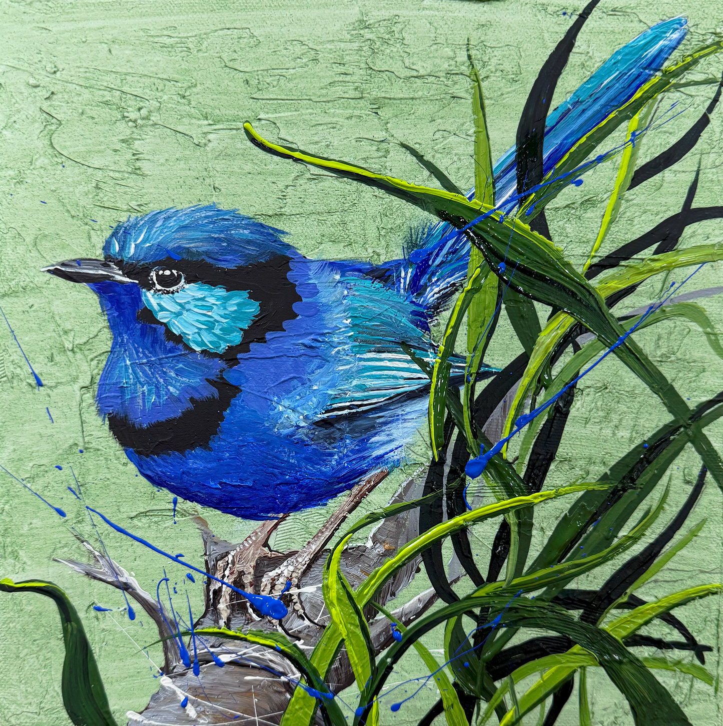 For Sale "Simply Splendid", the Australian native male Splendid Fairy Wren. acrylic on canvas