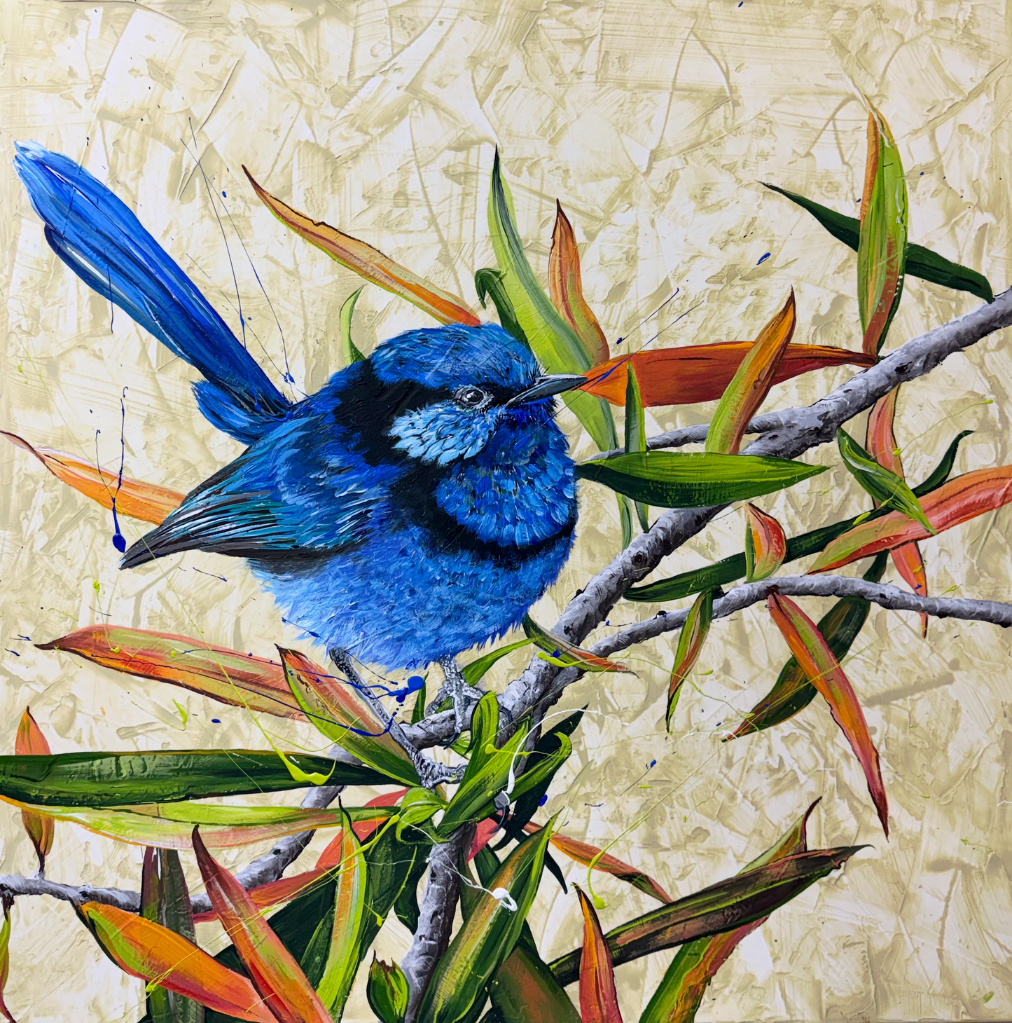 SOLD "The Splendid Chap", the male Splendid Fairy Wren in breeding season. *Fine Art Prints available