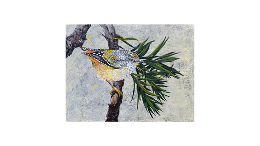 ORIGINAL FOR SALE: "The Sweet Little Spotted Pardalote" - the 'Diamondbird' of Australia. Acrylic on canvas.*Fine Art Prints also available