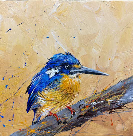 FOR SALE "The Little Azure Kingfisher" native to Australia