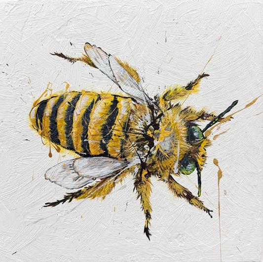 FOR SALE "The Precious Teddy Bear Bee 2" - native to Australia. Acrylic on canvas