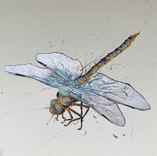 FOR SALE "Fly High Dragonfly" - A variation of the native Australian Emperor Dragonfly. Acrylic & texture paste on canvas.
